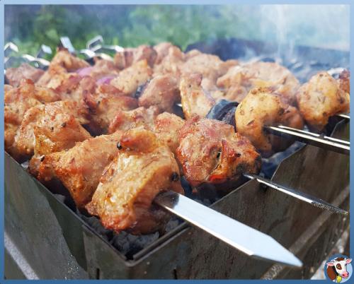 Армянская трава нана. Секрет идеального армянского шашлыка без замачивания