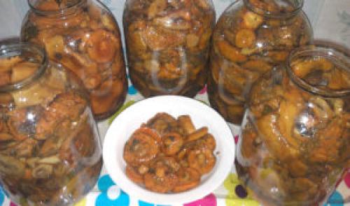 Как солить рыжики пошаговый рецепт. Как солить рыжики – 7 правильных рецептов