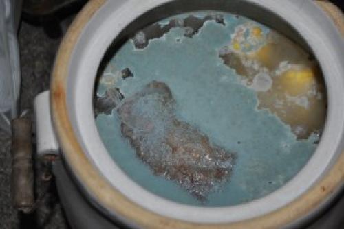 Как законсервировать кукурузу в початках. Консервированная кукуруза в початках на зиму