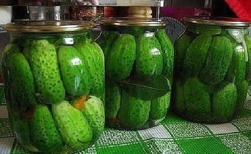 Очень вкусные корнишоны. Самые вкусные корнишоны без уксуса с лимонной кислотой