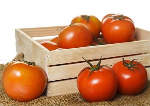Как сохранить помидоры свежими до нового года