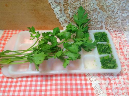 Как сохранить петрушку на зиму в домашних условиях. Способ заготовки первый — заморозка