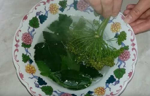 Соленые огурцы на зиму. Хрустящие соленые огурцы в банках: 5 супер вкусных рецептов на зиму