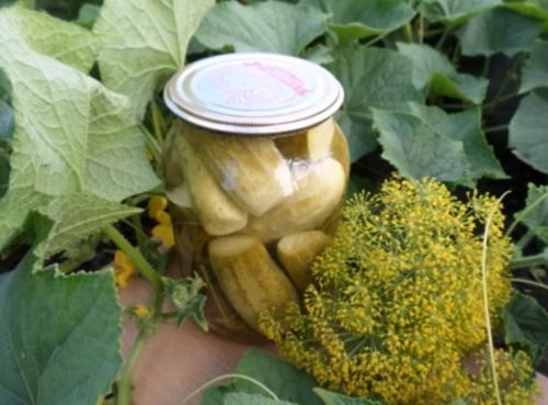 Консервируем огурцы на зиму. Консервирование огурцов на зиму. Очень вкусные рецепты в литровых банках