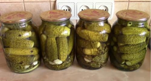 Маринад для огурцов на зиму. Хрустящие маринованные огурцы – 7 рецептов на зиму