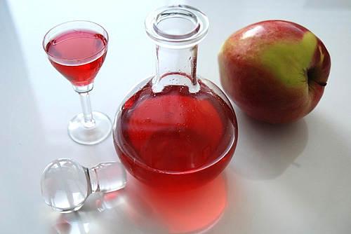 Сок из клюквы через соковыжималку. Как приготовить клюквенный сок 15