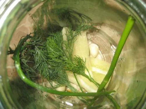 Как огурцы сохранить свежими в банке на зиму.  Выбираем место для хранения и способ 13