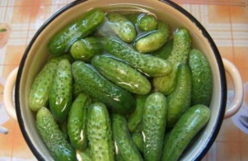 Рецепт маринада для корнишонов. Закатка корнишонов