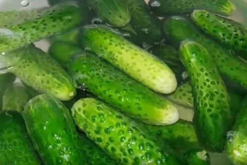 Рецепт засолки огурцов на зиму в маленьких банках. Засолка огурцов на зиму в литровых банках 02