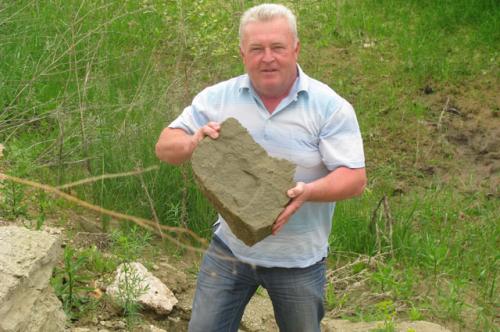 Посадка винограда в Самарской области. Северная лоза. Как в Самарской области выращивают виноград