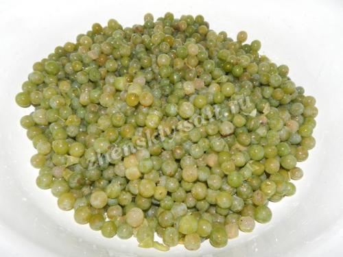 Приготовление виноградного сока в соковарке на зиму. Виноградный сок в соковарке на зиму