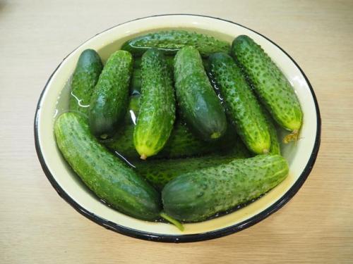 Салатные огурцы на зиму. Салаты из огурцов на зиму — самые вкусные рецепты «Пальчики оближешь»