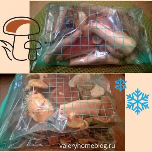 Можно заморозить грибы без варки. Как заморозить грибы на зиму.