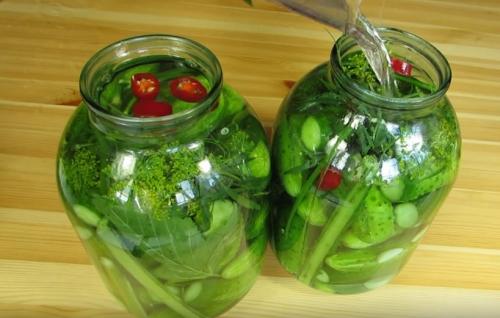 Рецепт засолки маленьких огурчиков. Самый вкусный рецепт хрустящих огурцов, как из бочки