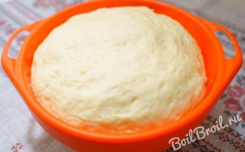 Пирожки на опаре в духовке рецепт. Ингредиенты