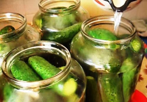 Рецепт засолки маленьких огурчиков. Самый вкусный рецепт хрустящих огурцов, как из бочки 22