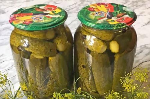 Мелкие маринованные огурчики. Хрустящие маринованные огурцы на зиму — рецепт на 1 литр 07