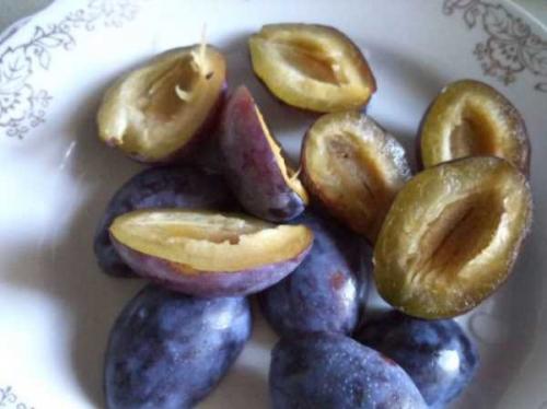 Как закрыть сливы целиком на зиму.  Сушим (вялим) сливу 20