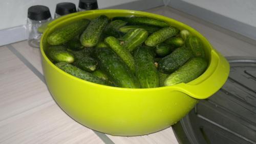 Вкусные огурцы на зиму в литровых банках. Огурцы на зиму в банках – 8 самых вкусных рецептов