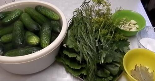 Мелкие маринованные огурчики на зиму. Хрустящие маринованные огурцы в банках. Самые вкусные рецепты на зиму