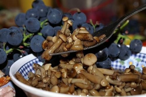 Универсальный маринад для грибов на зиму. Универсальный и простой маринад для заготовки любых грибов