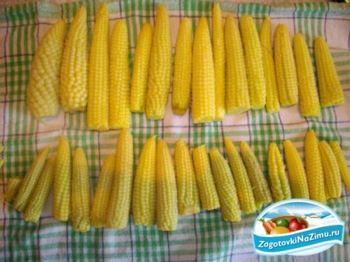Как законсервировать кукурузу в початках. Консервированная кукуруза в початках на зиму 15
