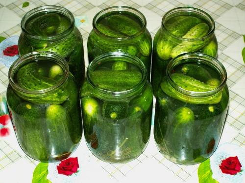 Консервируем огурцы на зиму. Консервирование огурцов на зиму. Очень вкусные рецепты в литровых банках