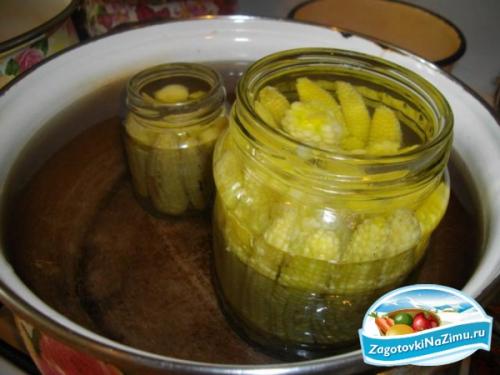 Как законсервировать кукурузу в початках. Консервированная кукуруза в початках на зиму 17