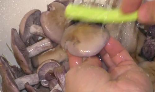 Рядовка лиловоногая, как готовить. Рядовка лиловоногая рецепты приготовления