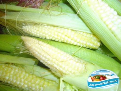Как законсервировать кукурузу в початках. Консервированная кукуруза в початках на зиму 10