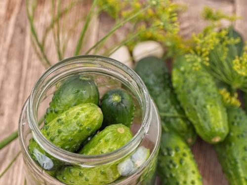 Вкусные огурцы на зиму в литровых банках. Огурцы на зиму в банках – 8 самых вкусных рецептов