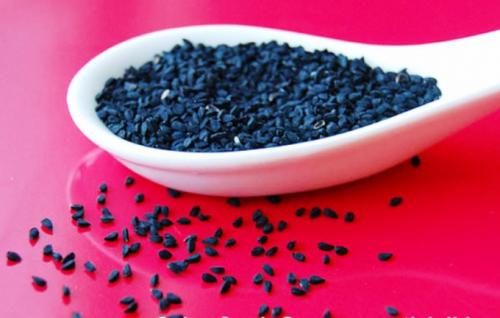 Можно ли сажать семейный лук под зиму и когда. Посадка семейного лука под зиму