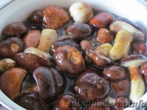 Грибы на зиму без стерилизации. Маринованные грибы рецепт без стерилизации