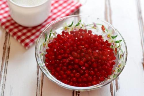 Варенье из красной смородины без косточек. Варенье из красной смородины: 9 простых рецептов на зиму