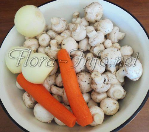 Грибы консервированные рецепт. Рецепты приготовления консервированных шампиньонов и блюд из них 21