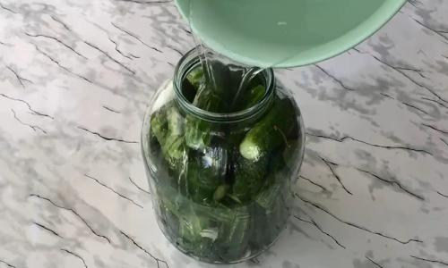 Как посолить маленькие огурчики. Малосольные хрустящие огурцы в холодной воде (холодным рассолом) 27