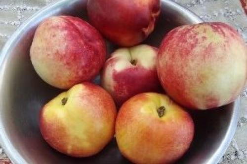 Варенье из нектаринов половинками. Варенье-пятиминутка из нектаринов на зиму