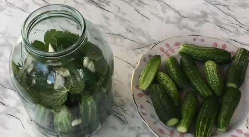Как посолить маленькие огурчики. Малосольные хрустящие огурцы в холодной воде (холодным рассолом) 25