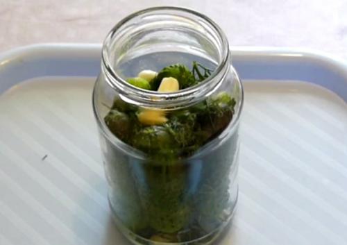 Как посолить маленькие огурчики. Малосольные хрустящие огурцы в холодной воде (холодным рассолом) 06