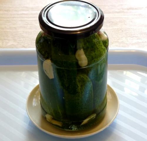 Как посолить маленькие огурчики. Малосольные хрустящие огурцы в холодной воде (холодным рассолом) 08