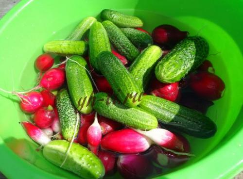 Салат из огурцов на зиму с чесноком. Салат из огурцов с зеленью и чесноком на зиму