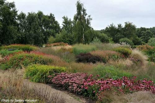 Piet oudolf. С юбилеем, Пит Удольф!