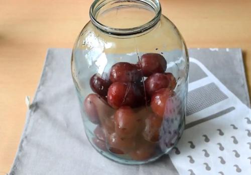 Консервируем компот из слив. Компот из сливы на зиму — 8 простых рецептов