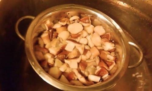 Консервация белых грибов на зиму. Маринованные белые грибы на зиму в банках — простые рецепты приготовления самых вкусных заготовок