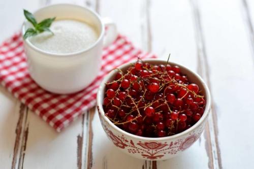 Варенье из красной смородины без косточек. Варенье из красной смородины: 9 простых рецептов на зиму