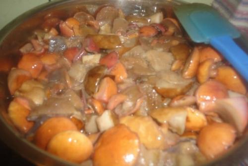 Маринованные лесные грибы быстрого приготовления. Лесные грибы (дождевики) –, как замариновать на зиму?