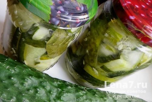 Как вкусно законсервировать переросшие огурцы. Салат на зиму из переросших огурцов: рецепты