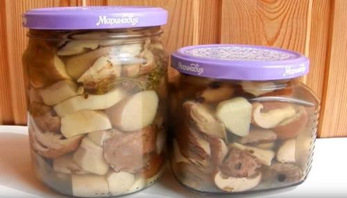 Самые вкусные маринованные белые грибы. Маринованные белые грибы на зиму, рецепты в банках без стерилизации