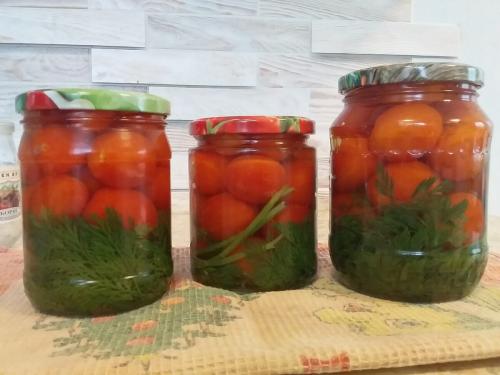 Помидоры с морковной ботвой поваренок. Помидоры на зиму без стерилизации и специй - только с морковной ботвой