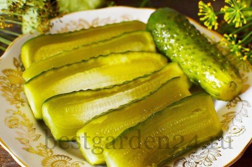 Как консервировать малосольные огурцы на зиму в банках. Малосольные огурцы в банке на зиму